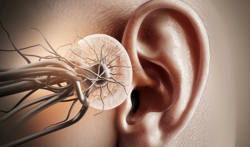 oreille-tympan-detail-lumiere-douce