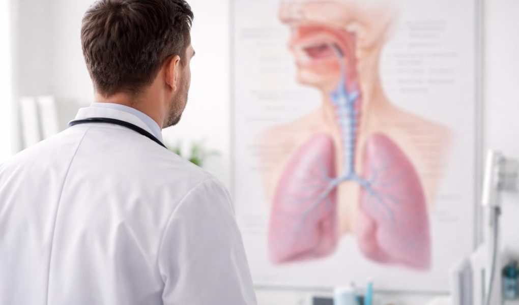 medecin-blouse-tableau-anatomique-equipement