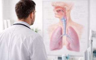 medecin-blouse-tableau-anatomique-equipement